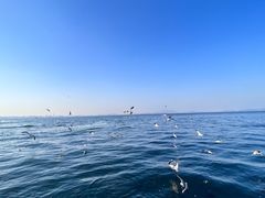 -大连海昌东方水城
