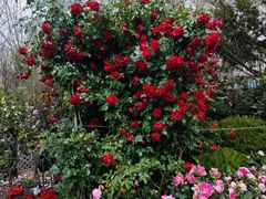 -香炉礁家具市场