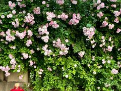 -无锡师范学校附属小学(学前街校区)