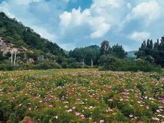 -紫海香堤香草艺术庄园