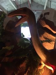 -恐龙探索乐园(磁器口店)