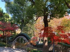 -申粤轩酒楼·三十年粤菜经典(丁香花园店)