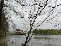 -东湖落雁景区
