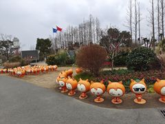 -上海长兴岛郊野公园