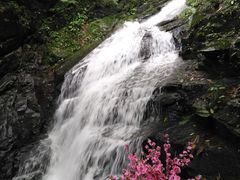 -藏龙百瀑风景区