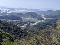 -黄贤森林公园
