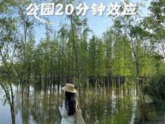 -白鹭湾湿地公园