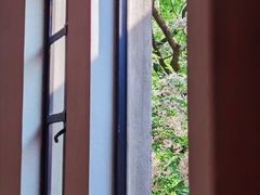 -66梧桐院·天平邻里汇(乌鲁木齐南路店)