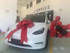 -TESLA 特斯拉(郑州正弘城体验店)