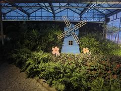 -南宫五洲植物乐园