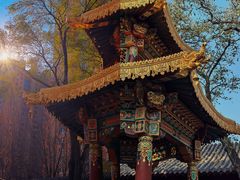 -护国法轮寺
