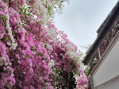 -深圳国际园林花卉博览园