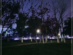 -天鹅湖体育公园