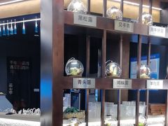 -芸山季·云南山珍菌火锅(人民广场来福士店)