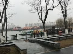 -上海长兴岛郊野公园