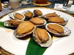清汁冰鲍-一本魅·日式料理