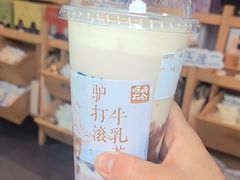 -长春堂顺时而饮(前门店)