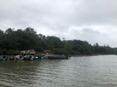 -东寨港红树林旅游区