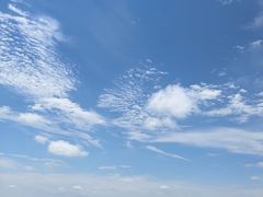 -日照海滨国家森林公园