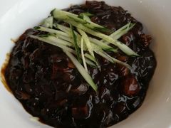 -桃园中华料理炸酱面(燕儿岛路店)