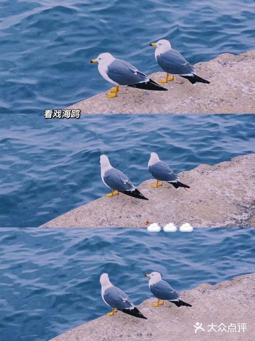 星海湾跨海大桥图片