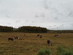 -塞罕坝国家级自然保护区