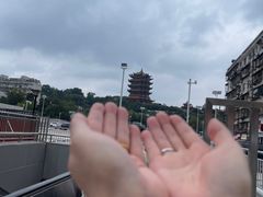 -黄鹤楼公园(黄鹤楼)