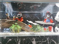 -红辣椒·川菜·火锅(大洋中心店)