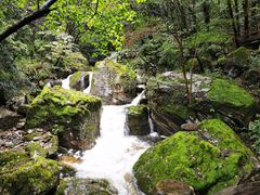 -牛背梁国家森林公园