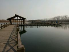 -溱湖国家湿地公园