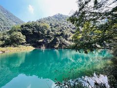 -大奇山国家森林公园