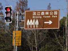 -上海滨江森林公园
