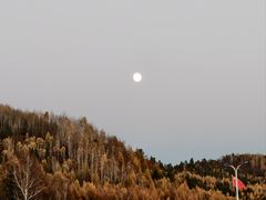 -五营红松林海景区