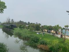 -瑶湖郊野森林公园