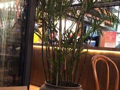 -Chili's Cafe&Bar奇利斯(滨江店)