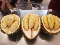 -都念榴莲·城市榴莲