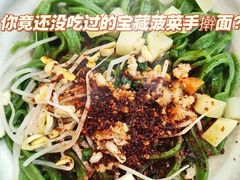 -手擀菠菜面(西康路店)