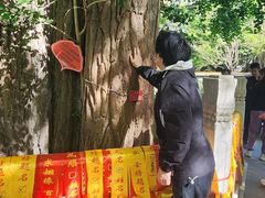 -潭柘寺景区