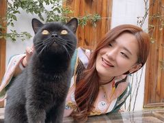 -喵屿·大理花园猫咖