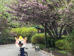 -北极寺公园