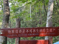 -峡谷浮石林景区