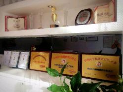 大堂-薇薇安花系SPA