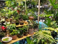 -花鸟鱼虫鲜花绿植市场(玉泉路店)