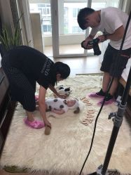 -DeerFriend童趣主题上门拍·到家·外拍摄影机构 (国贸店)