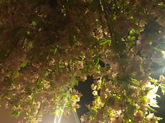 -吉川居酒屋(建国北路店)