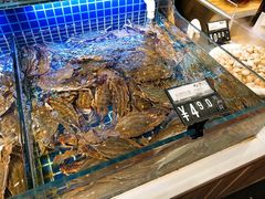 水产区-必点海鲜·鲅鱼水饺(鞍山西道店)
