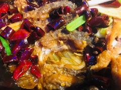 -老板恋上鱼(恒隆广场店)