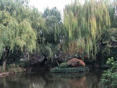 -秋霞圃