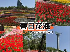 -沈阳植物园