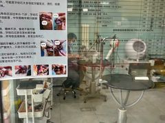 -中农大我爱我爱动物医院·核磁CT·猫病·24小时夜诊中心(石佛营店)